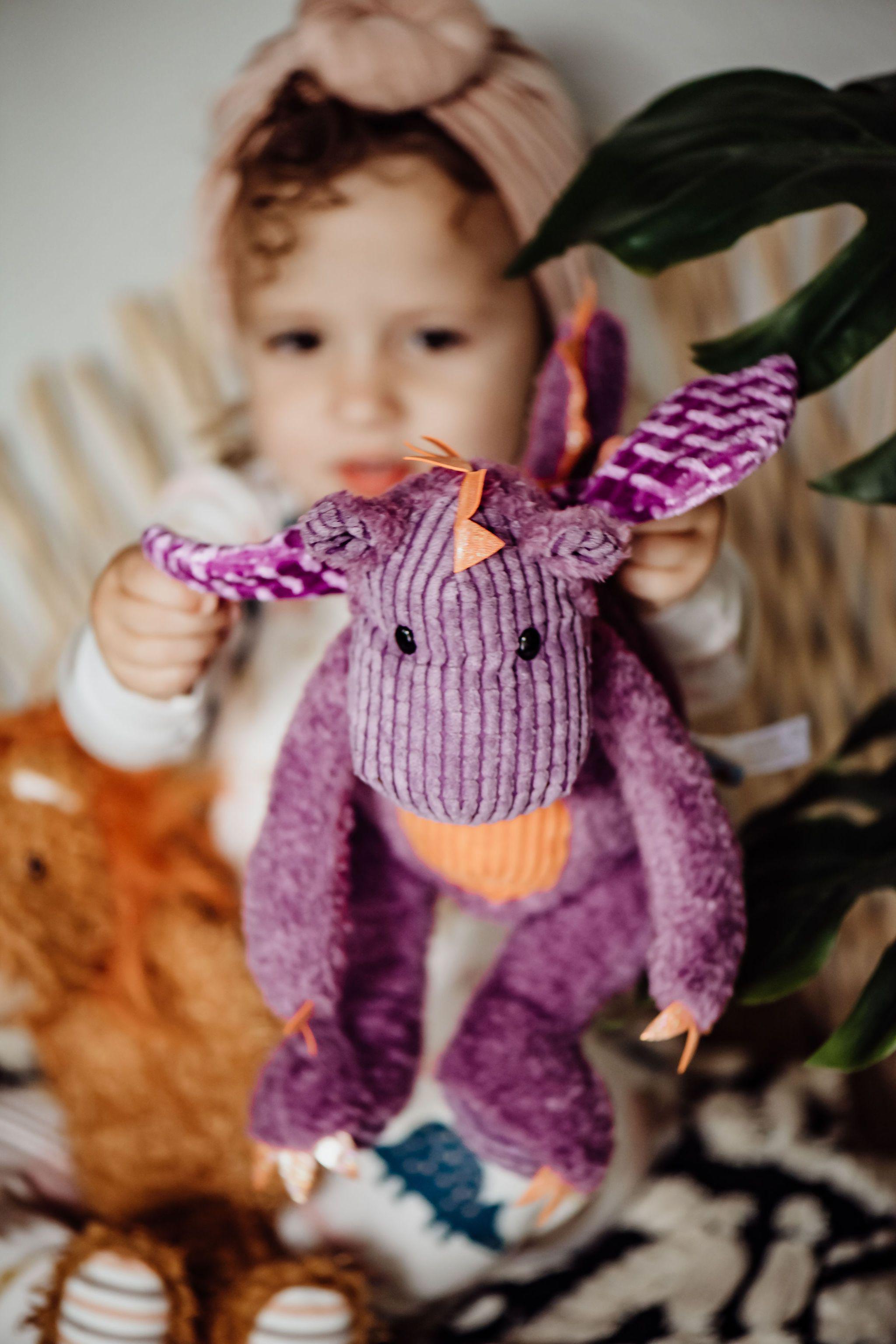 RETIRED - Dunkin the Dragon